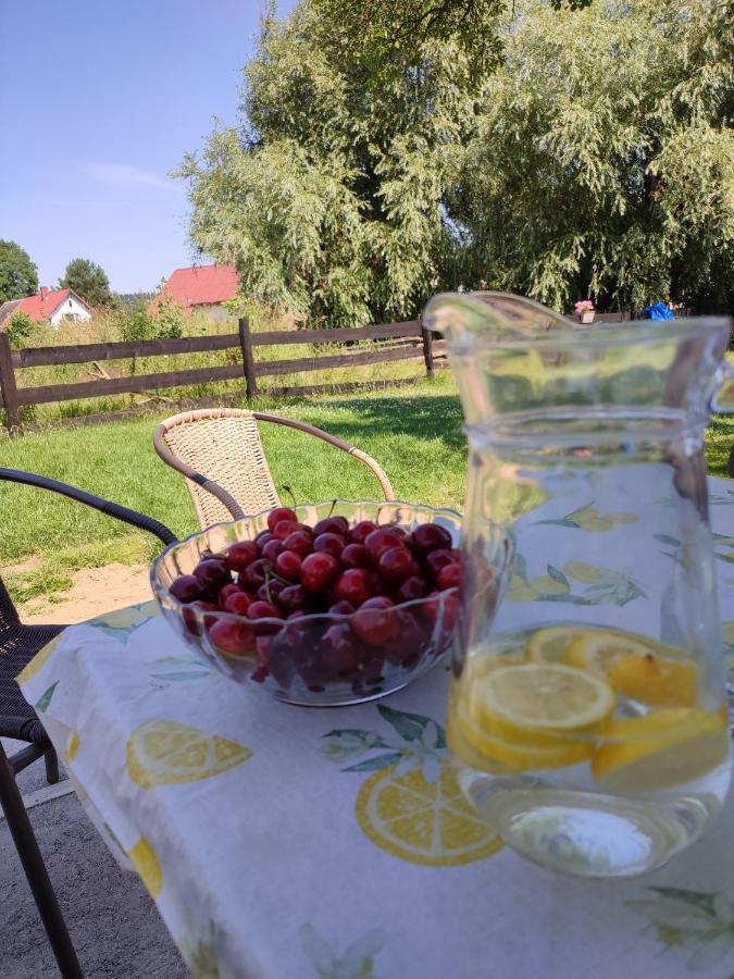 Chata Na Karpackiej Kostrzyca Экстерьер фото